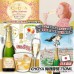 日本 CHOYA 梅酒香檳 750ml